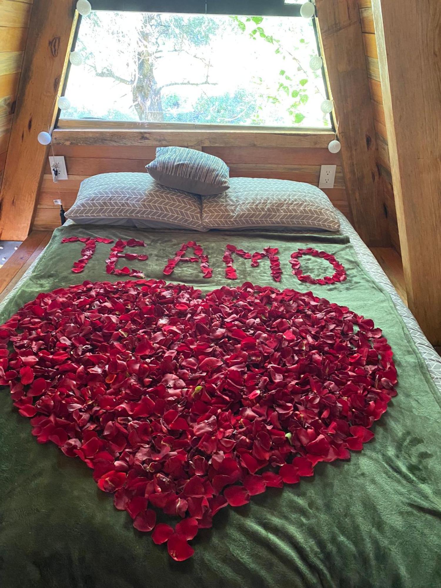 Cabanas Alpina, Romantica Y Acogedora A 10 Minutos Del Centro Tepoztlán Eksteriør bilde