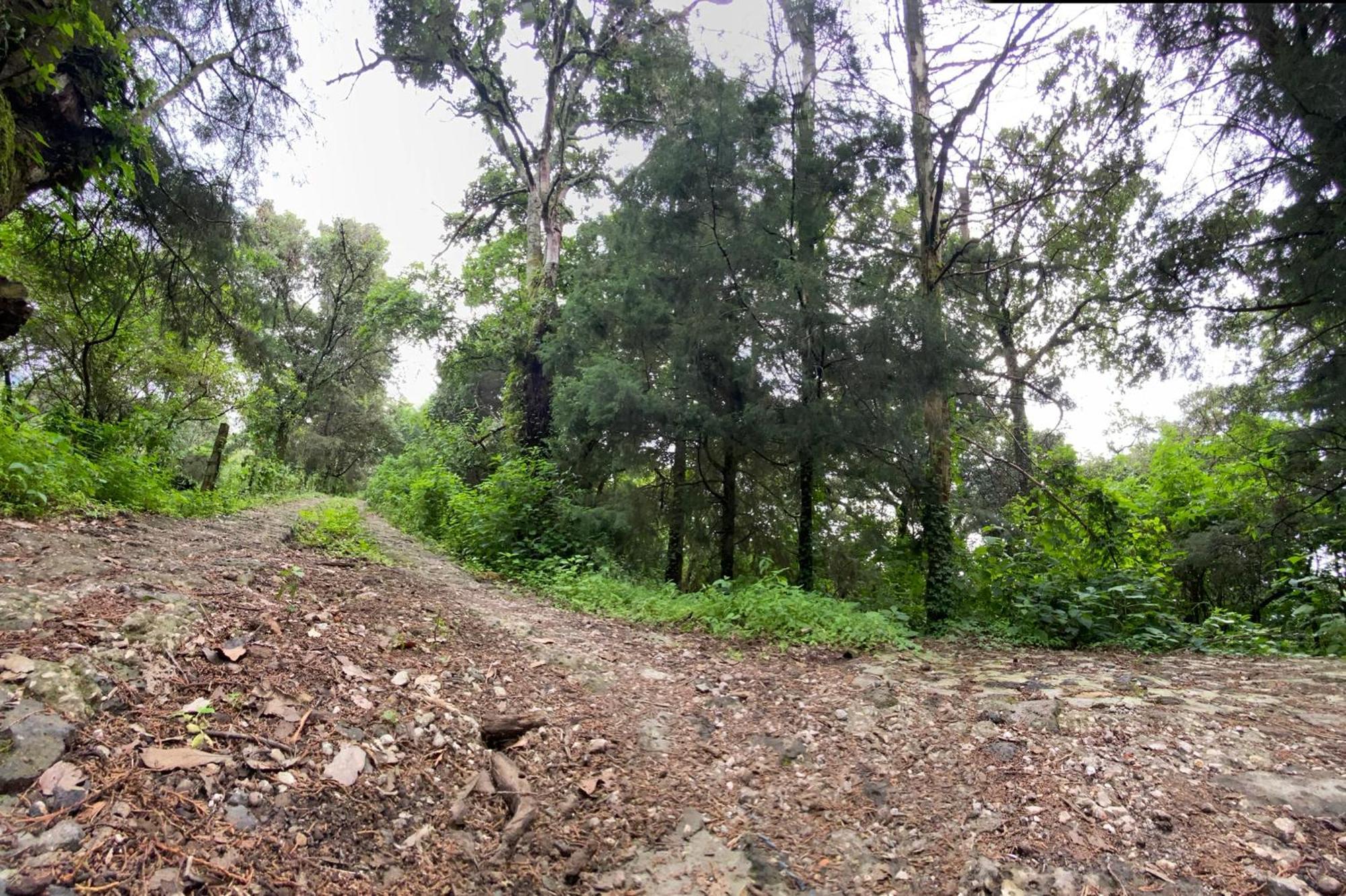 Cabanas Alpina, Romantica Y Acogedora A 10 Minutos Del Centro Tepoztlán Eksteriør bilde