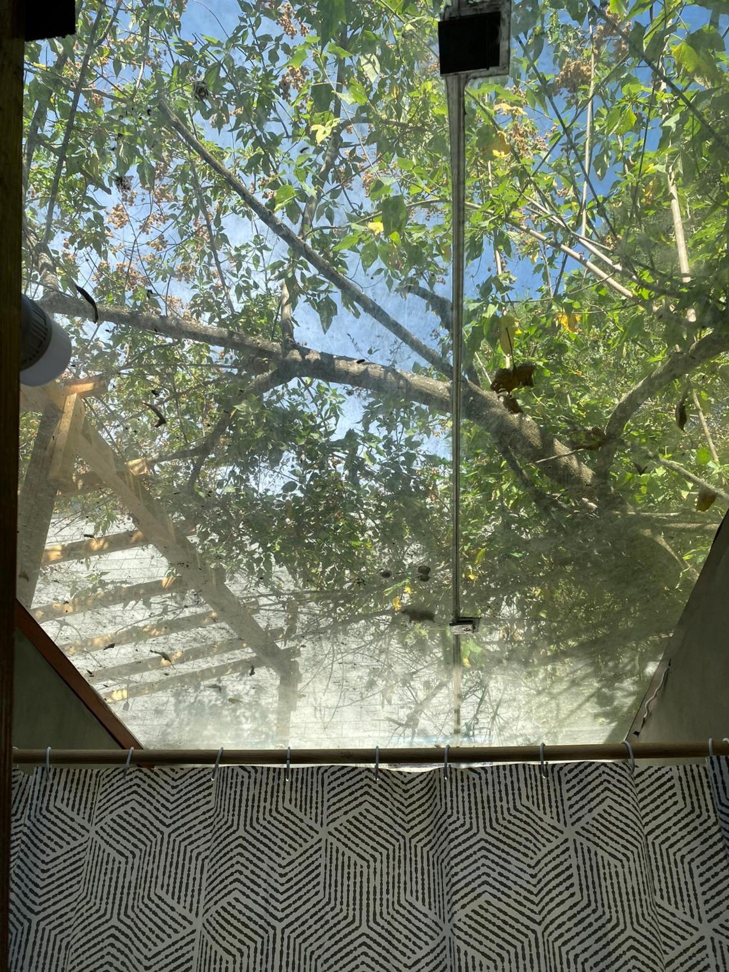 Cabanas Alpina, Romantica Y Acogedora A 10 Minutos Del Centro Tepoztlán Eksteriør bilde