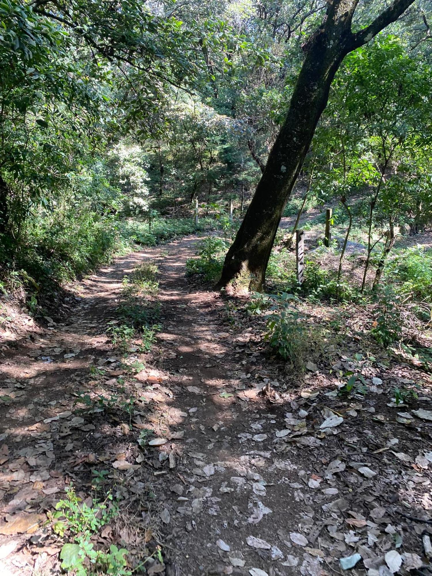 Cabanas Alpina, Romantica Y Acogedora A 10 Minutos Del Centro Tepoztlán Eksteriør bilde